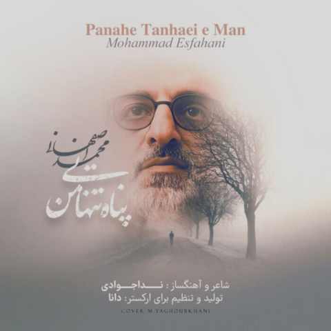 دانلود آهنگ پناه تنهایی من شانه ی امن اشک من
